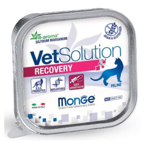 MONGE VETSOLUTION CAT Pate dinh dưỡng phục hồi 100g