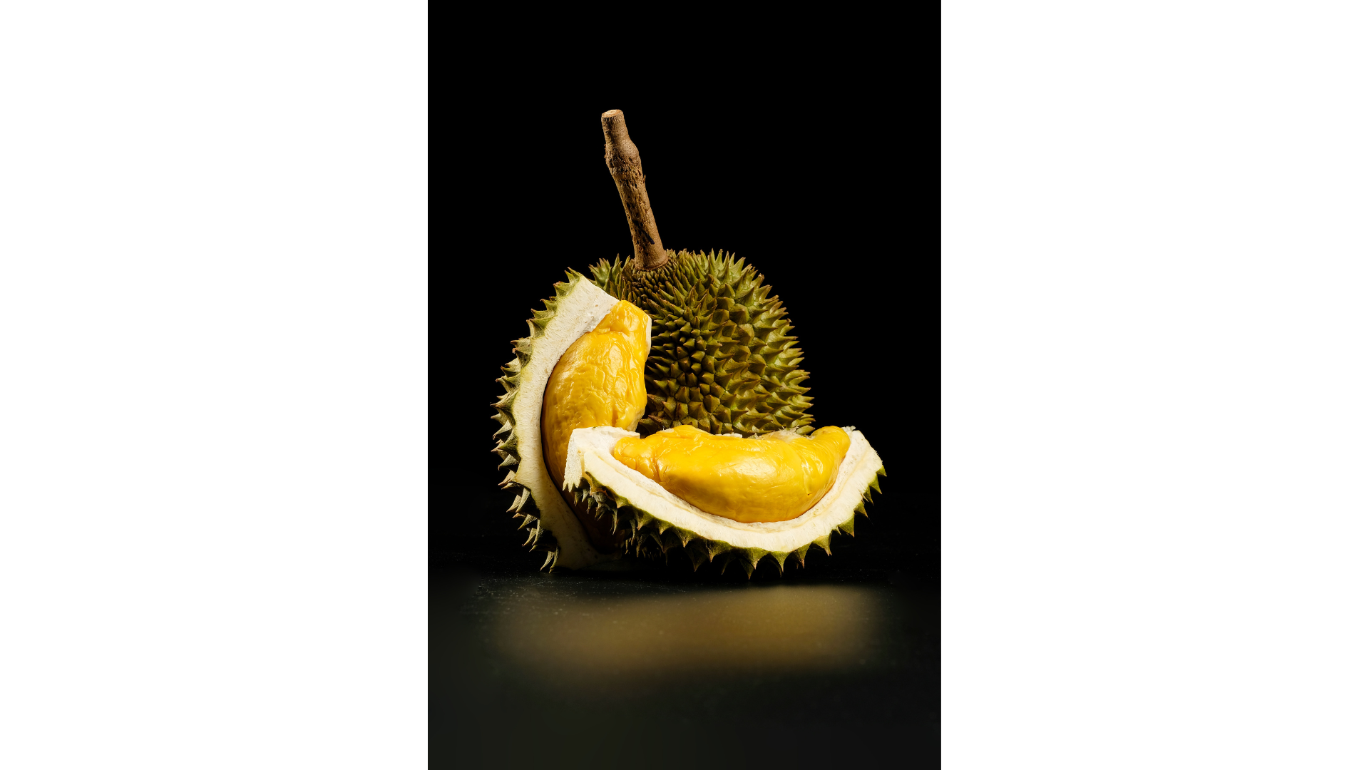 Sầu riêng Musang King (Loại 04)
