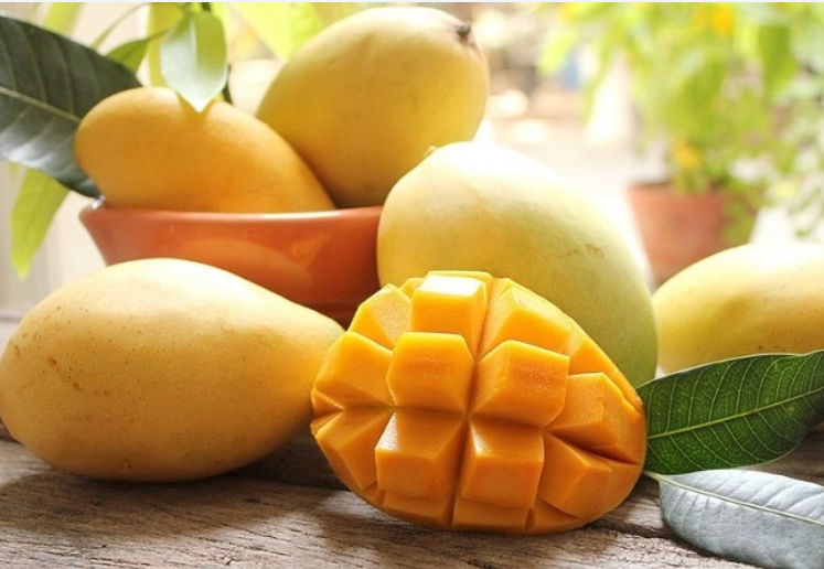 Xoài Cát Hòa Lộc NB005 Chín Ngọt