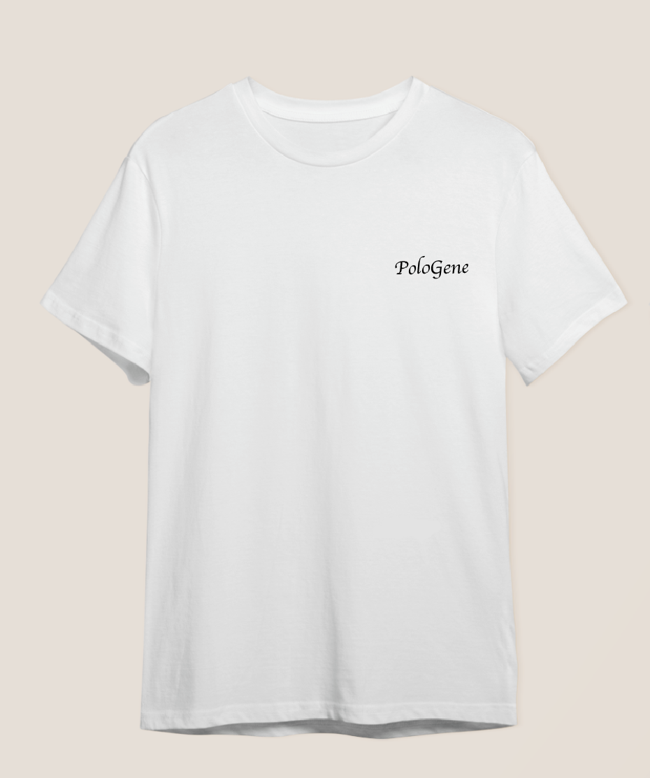 Áo Thun Nam Basic Logo (KT000102)