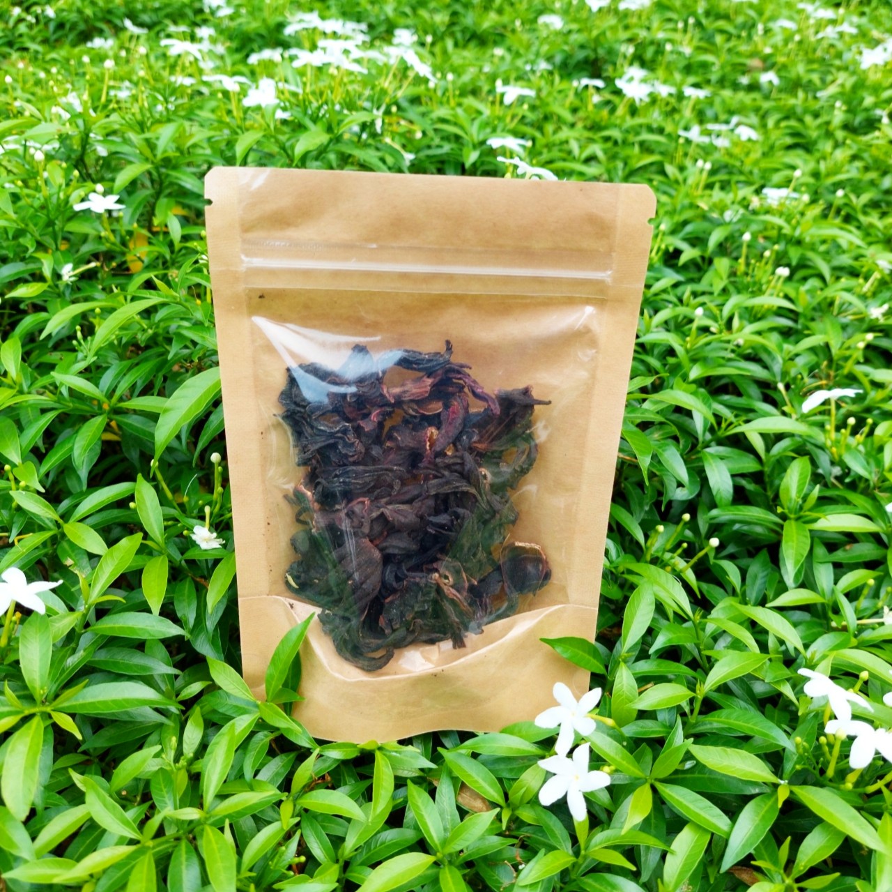 Trà Atiso Đỏ (20g)