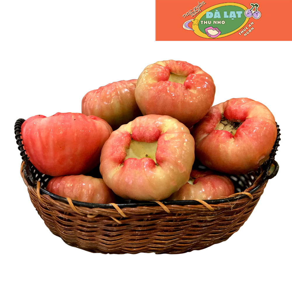 Mận tròn Hồng Đào