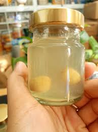 Yến chưng hạt sen