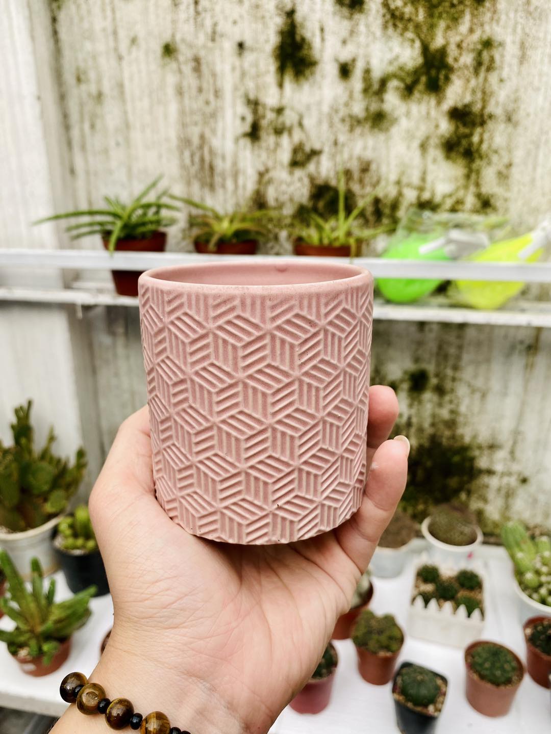 Chậu gốm hoa văn