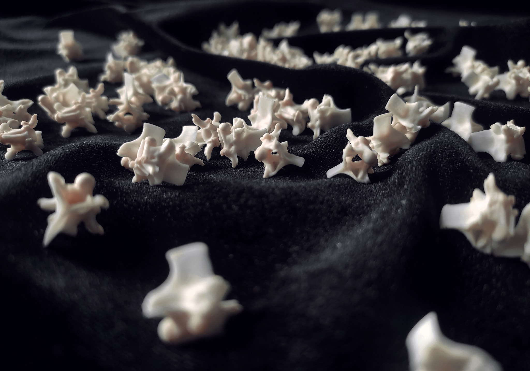 Lũ xương rắn mini