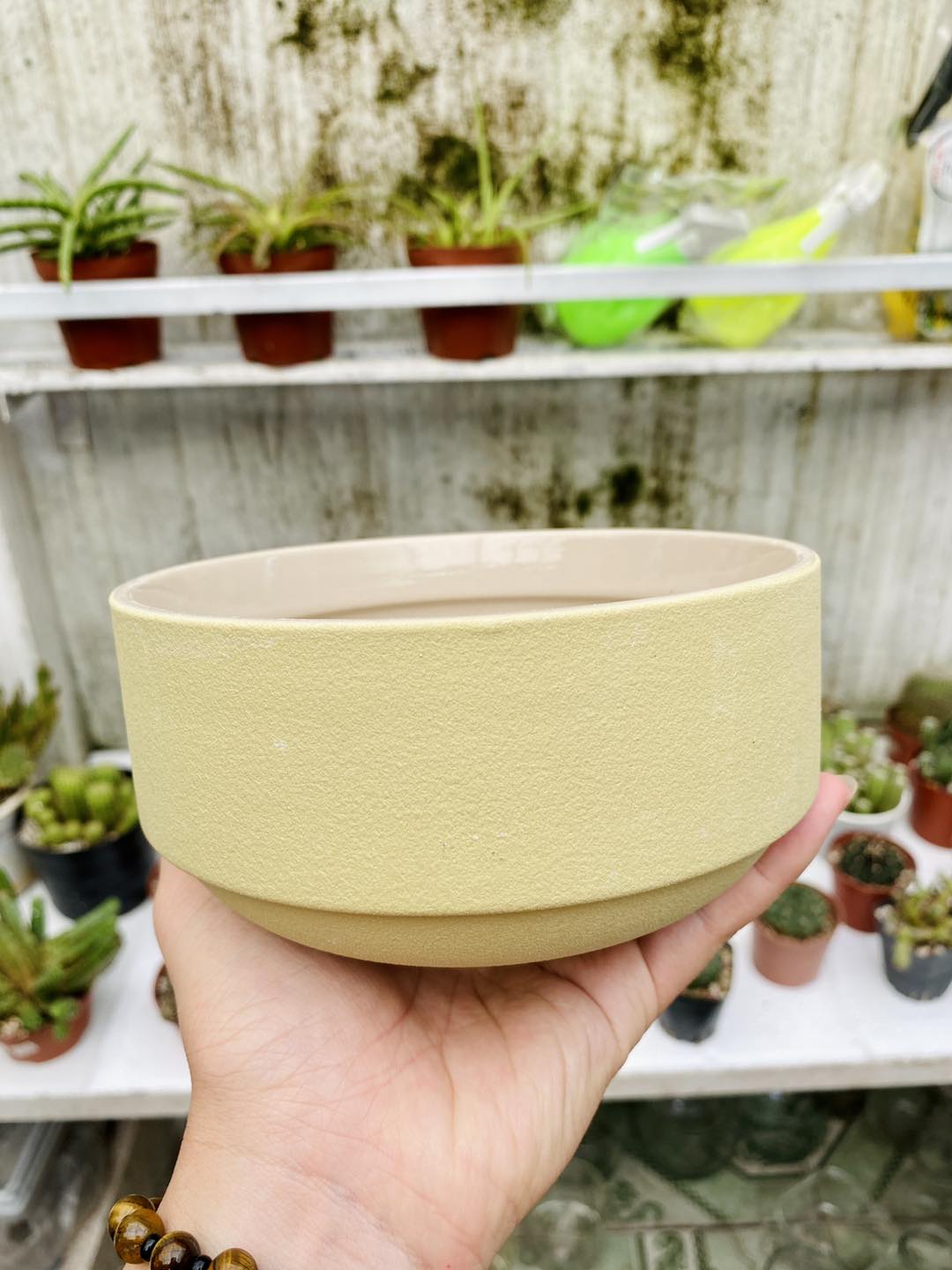 Chậu gốm vàng thấp